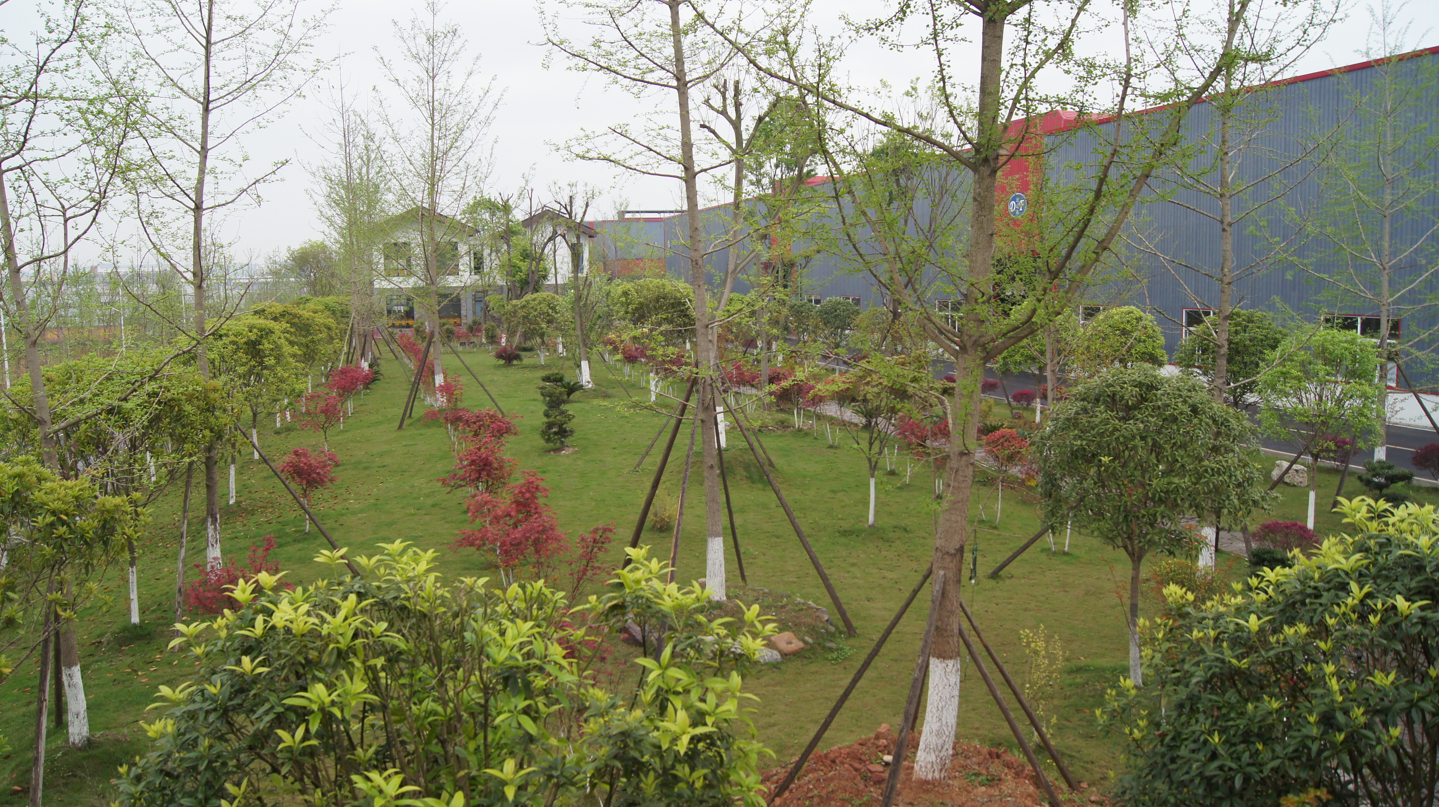 DSC00849