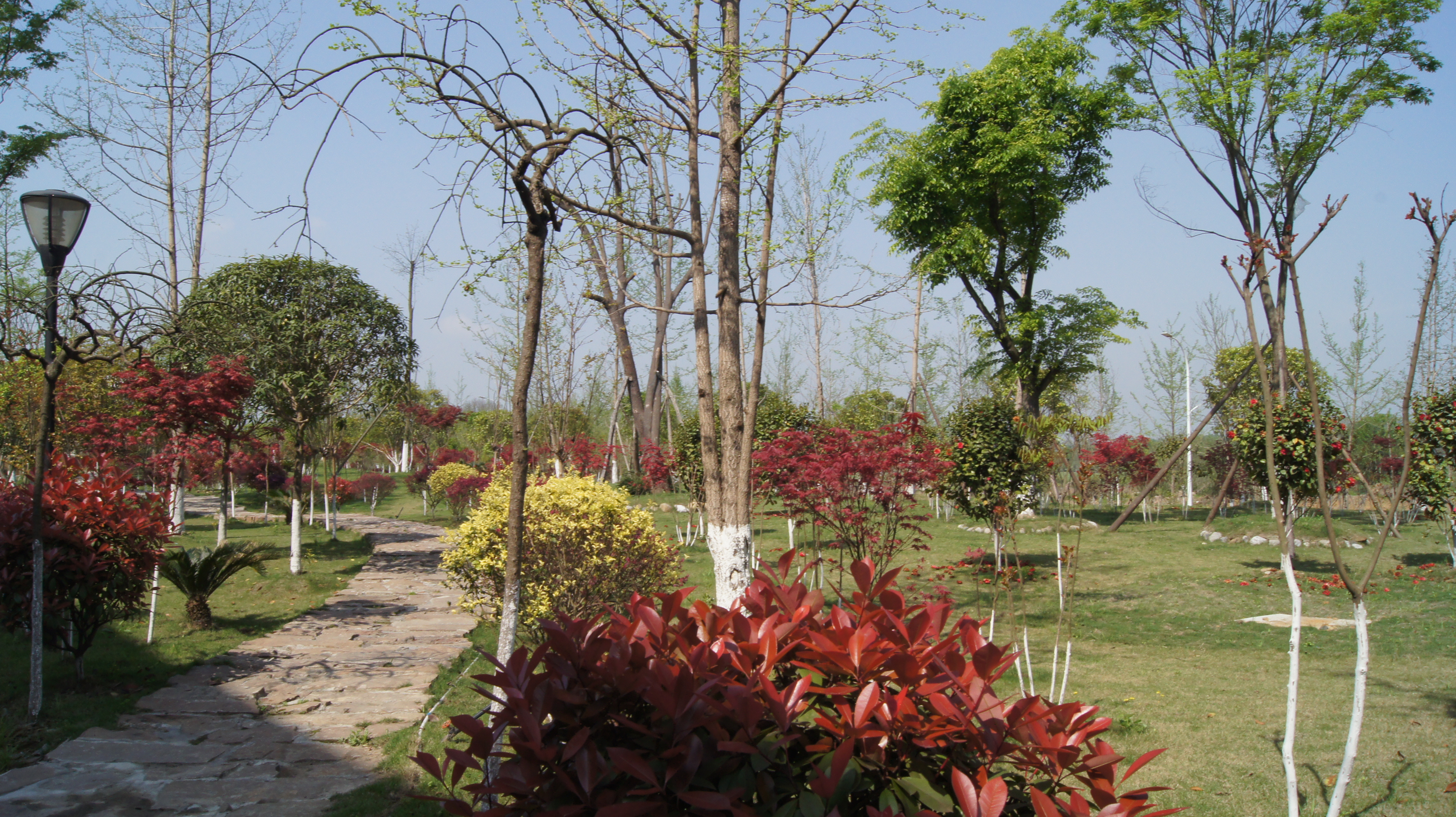 DSC00930