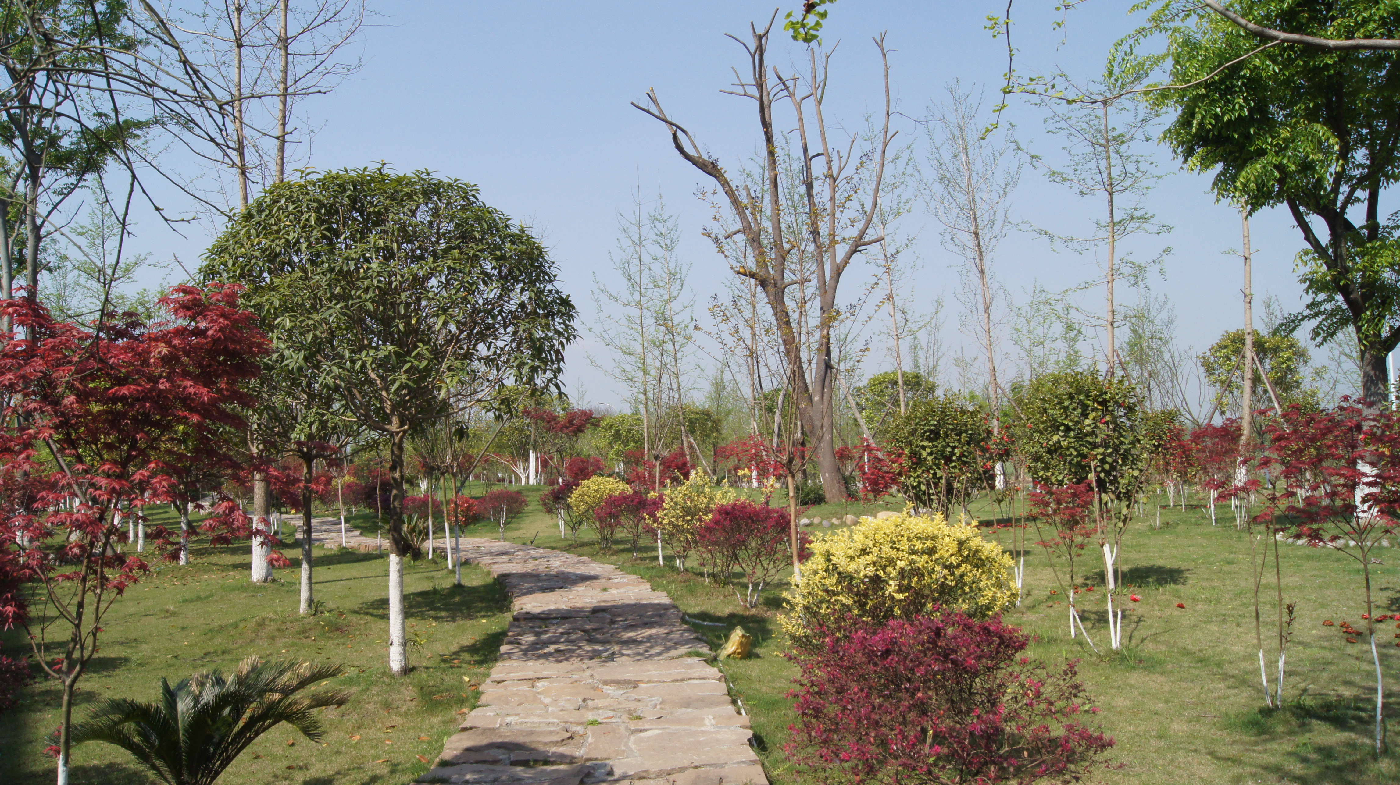 DSC00931